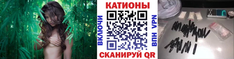 Купить где  Бузулук  МЕФ VHQ 