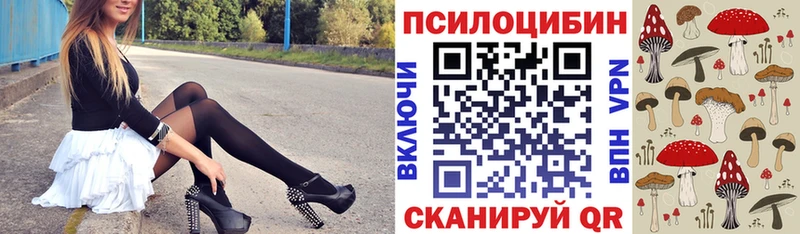 Купить где  Бузулук  Псилоцибиновые грибы MAGIC MUSHROOMS 